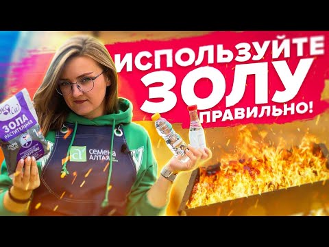 Видео: КАК НЕ НАВРЕДИТЬ В ОГОРОДЕ ЗОЛОЙ? Все о золе!