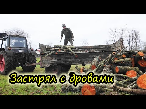 Видео: Застрял с дровами // Самый легкий способ сбора листьев // Жизнь в деревне // Семья Лях