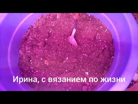 Видео: Влог с 3 по 9 ноября 2025г