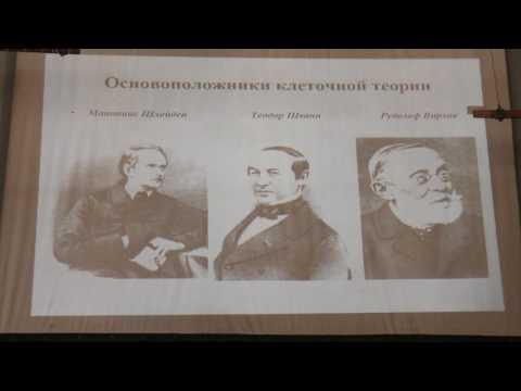 Видео: Клеточная биология. Профессор Онищенко Галина Евгеньевна (Лекция 1)