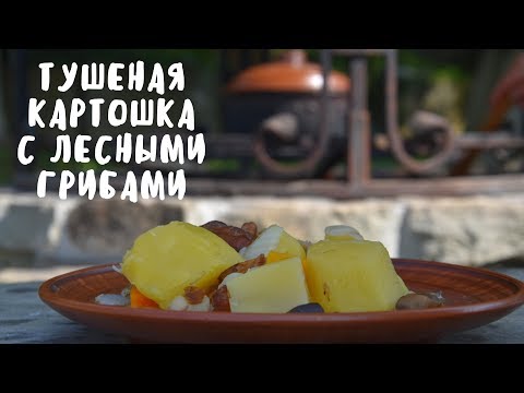 Видео: ТУШЕНАЯ КАРТОШКА С ЛЕСНЫМИ ГРИБАМИ НА КОСТРЕ. Вкусная еда. Мой опыт.