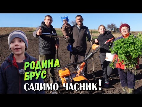 Видео: Все буде🇺🇦 Садим ЧАСНИК найпростішим методом.