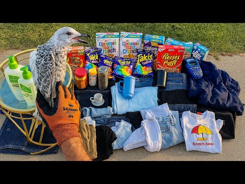 Видео: Поиски в мусорном баке «Стоит ли нам держать его в качестве домашнего животного?»