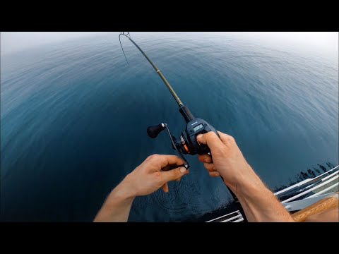 Видео: Ловля КАЛЬМАРА днём в Приморье / Catching squid in the Sea of Japan / Shimano Barchetta F Custom