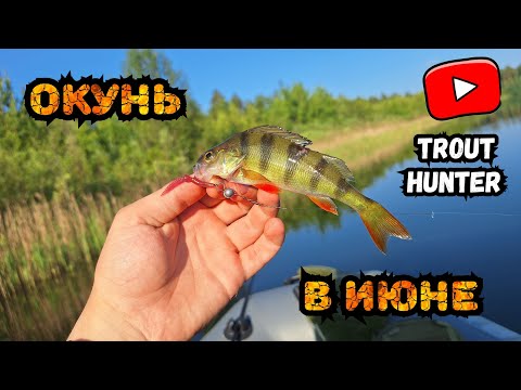 Видео: Рыбалка с Лодки на микроджиг!🎣✅️ ЭЛЕКТРОМОТОР Haswing Osapian 40lbs, Покатушка на лодке!