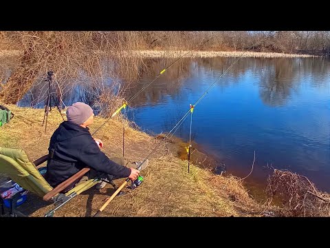 Видео: ЗАКИНУВ ФІДЕРА ПІД ОЧЕРЕТ І ПОЧАЛОСЯ.Рибалка на фідер