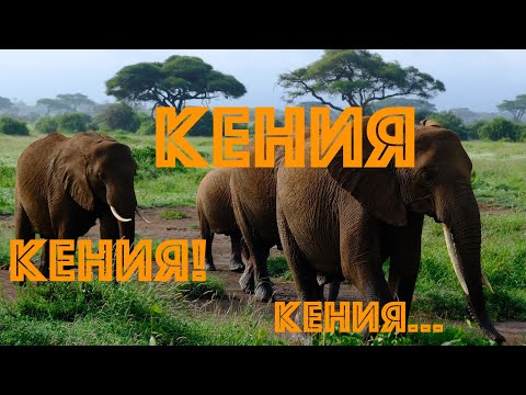 Видео: Кения! Основное видео для потомства из декабря 2024 года.
