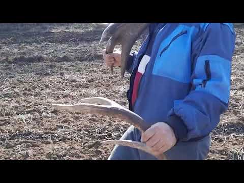 Видео: Един ден през Март - One day in March