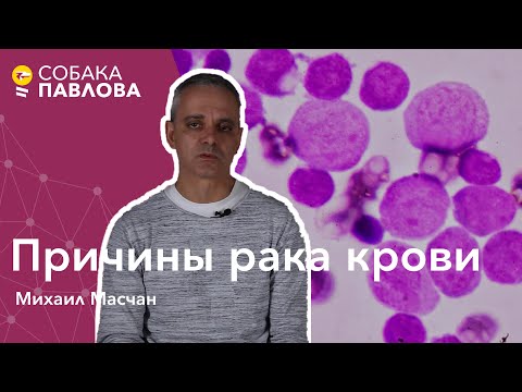 Видео: Причины рака крови - Михаил Масчан // мутации, деление и умирание клеток