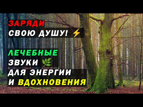 Видео: Лучшая Музыка для Релакса 🏆 Музыка для снятия напряжения. Волшебная Музыка для глубокой медитации