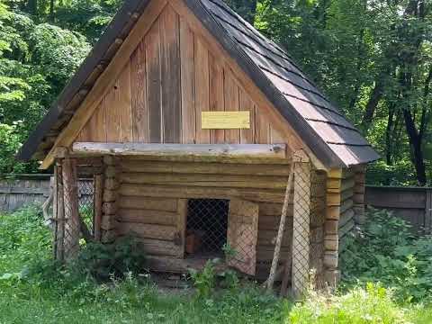 Видео: Шевченківський гай. Львів.