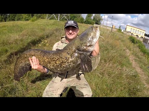 Видео: Свислочь  РЕКА ТРОФЕЕВ !!!