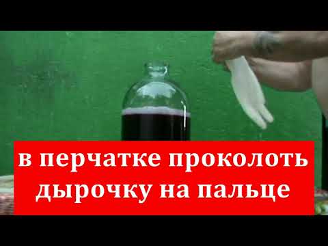 Видео: Домашнее Шампанское из вишни. Получается натуральное игристое вино с насыщенным вкусом!