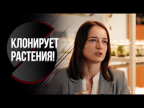 Видео: Зачем растениям углеводы? // БИОЛОГ: стерильные условия, вирусы и стресс для орхидей