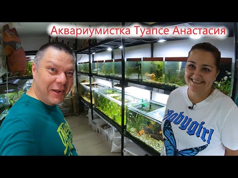 Видео: Аквариумистка Туапсе - Анастасия