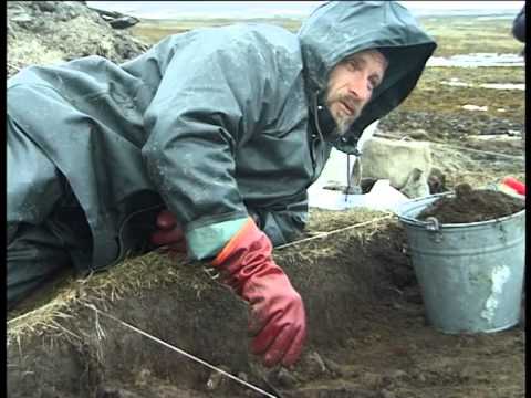 Видео: Остров Жохова. Фильм Андрея Головнёва