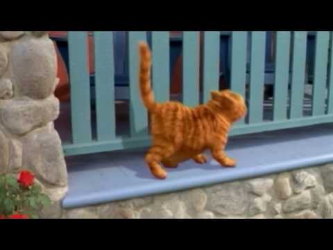 Видео: Эй толстый