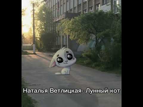 Видео: Комфортные песни speed up