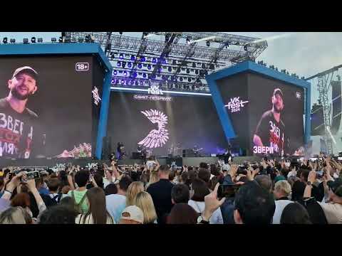 Видео: Звери - Все, что тебя касается (VK Fest 2024 СПБ 30.06.2024)