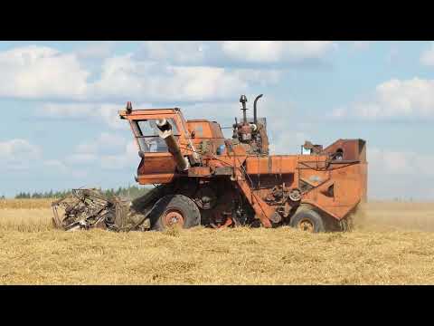 Видео: НИВА СК 5М1 на уборке урожая.