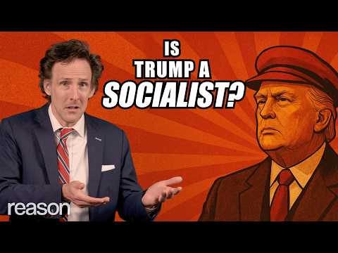 Видео: Гэвин Ньюсом назвал Трампа социалистом. Так ли это?