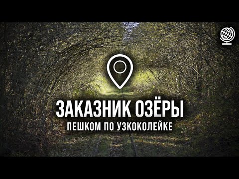 Видео: Пешком по узкоколейке в заказнике "Озёры"