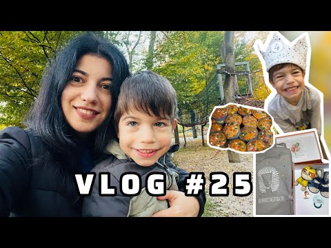 Видео: VLOG #25 Празднование Дня Рождения в Австрийском садике 🇦🇹