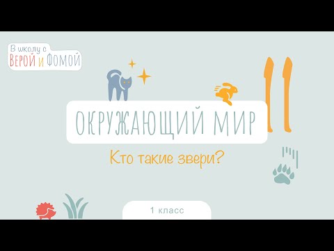 Видео: Кто такие звери? Окружающий мир, урок 11. 1 класс (аудио). В школу с Верой и Фомой (6+)