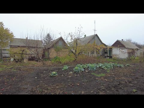 Видео: 🐈В селе у СВЕКРУНЬКИ🙋‍♀️🏡