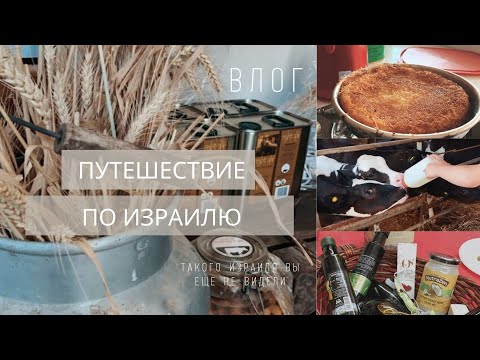 Видео: ИЗРАИЛЬ ГОЛАНСКИЕ ВЫСОТЫ. ВЛОГ #влог