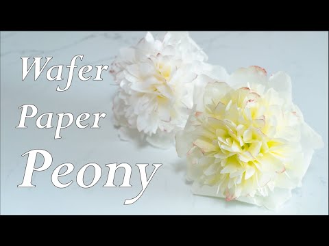 Видео: Пион из Вафельной Бумаги