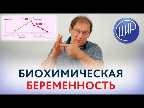 Видео: БИОХИМИЧЕСКАЯ беременность - это НЕВЫНАШИВАНИЕ или нет? Что такое биохимическая беременность.