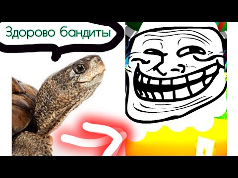 Видео: Как я троллил всех в YBA с черепахой🟩🟢...