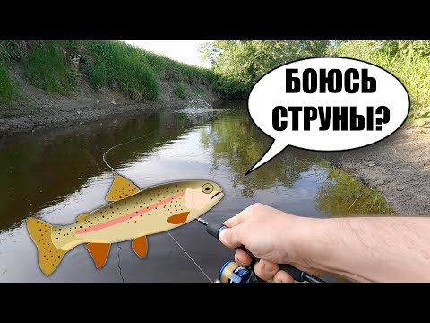 Видео: ФОРЕЛЬ В ЖАРКИЙ ИЮНЬ 🎣 БОИТСЯ ли ФОРЕЛЬ ПОВОДКА? 🎣 БАТЛ  ДВУХ ВОБЛЕРОВ 🤜🤛