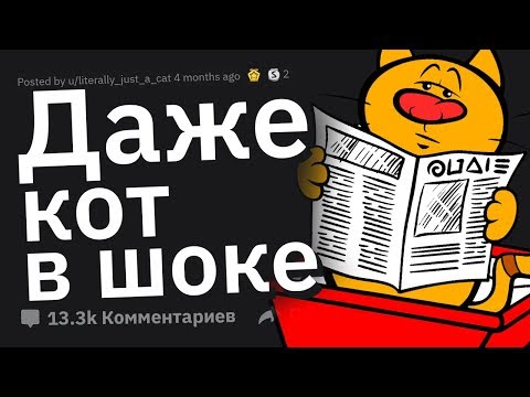 Видео: Люди Сливают, Как Лучше Всего Сделать НЫЧКУ От Грабителей и Родаков