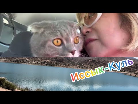 Видео: Иссык-Куль 2023/Собираемся в дорогу/ Шикарная квартира в Бишкеке!/