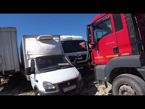 Видео: Клин клином вышибают