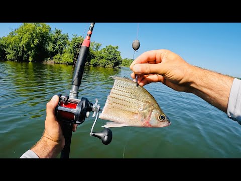 Видео: Ловля кэта за деньги в Огайо