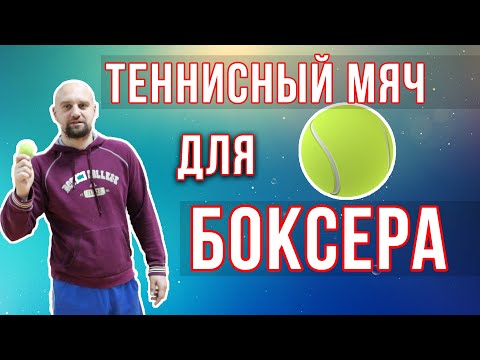 Видео: Упражнения с теннисным мячом для ударников / Дневник ММА