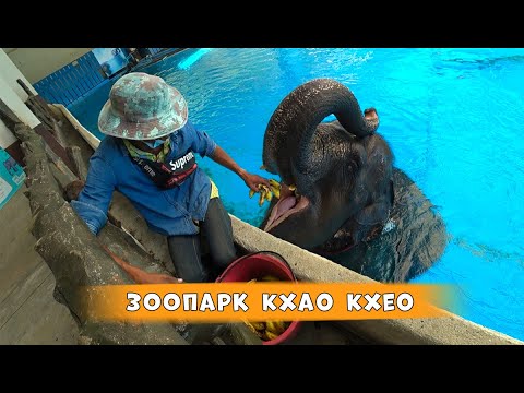 Видео: Паттайя. Зоопарк Кхао Кхео.