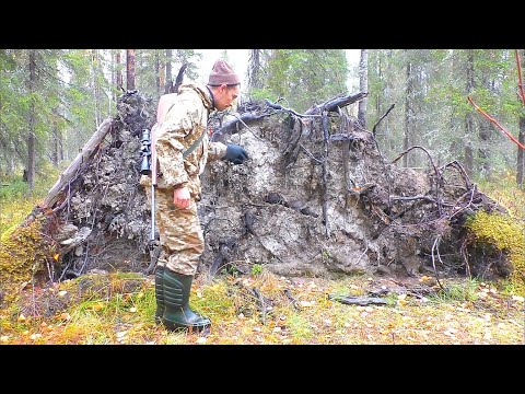 Видео: ОХОТА НА БОРОВУЮ ДИЧЬ / ВСТРЕТИЛ ГЛУХАРОКА НА ДОРОГЕ / ОХОТА С МЕЛКАШКОЙ НА РЯБЧИКА / ПОХОД В ТАЙГУ.