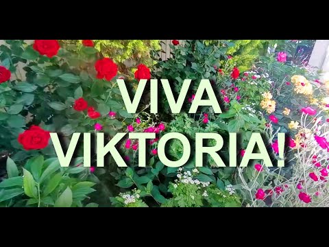 Видео: Боковая клумба и ее новое название!