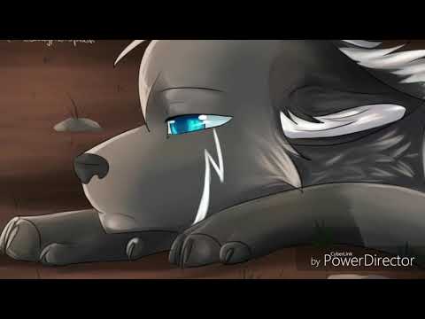 Видео: Коты Воители песня Я верю в мечту , Я верю в судьбу !