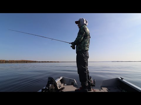 Видео: Жерехи Клюют ОДИН за ОДНИМ на Чебоксарском Водохранилище!!! Рыбалка на Волге и Ловля Щук!