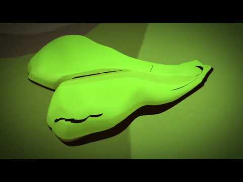 Видео: Қырықжапырақтың тіршілік кезеңі