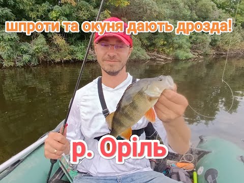 Видео: Спінінгова рибалка з човна в Полтавській обл. річка Оріль. Щупаки та окуня дають міцного дрозда.