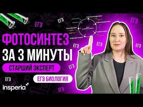 Видео: РАЗБИРАЕМ ФОТОСИНТЕЗ ЗА 3 минуты! ЕГЭ биология 2026