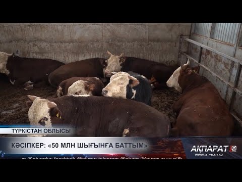 Видео: Кәсіпкер: «50 млн шығынға баттым»
