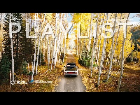 Видео: 𝗽𝗹𝗮𝘆𝗹𝗶𝘀𝘁 Мгновенно поднимает настроение! Стильный поп для работы 🎶