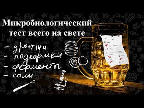 Видео: Микробиологический тест всего на свете.